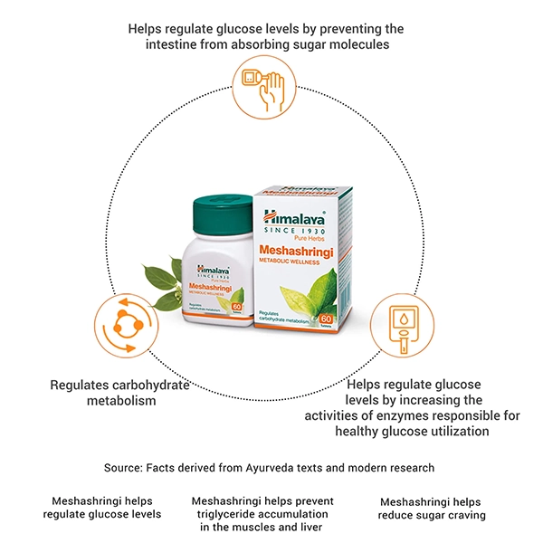 Himalaya Meshashringi 3 Himalaya Meshashringi - Image 3