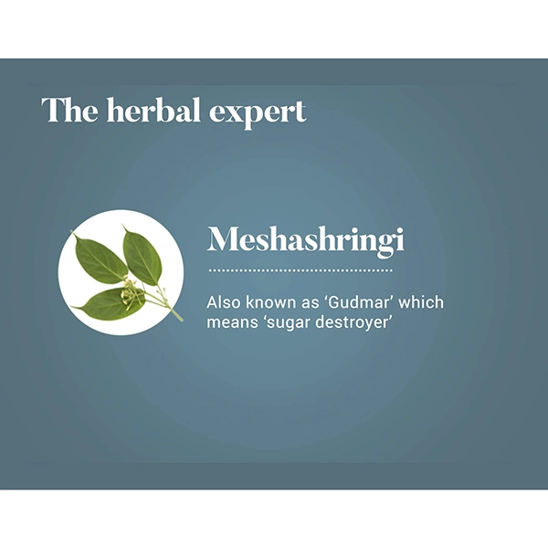 Himalaya Meshashringi 4 Himalaya Meshashringi - Image 4