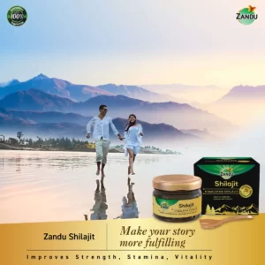 Zandu 100% Pure Himalayan Shilajit Resin